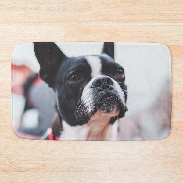 Item preview, Proud French Bulldog designed and sold by wolfgangrainer.