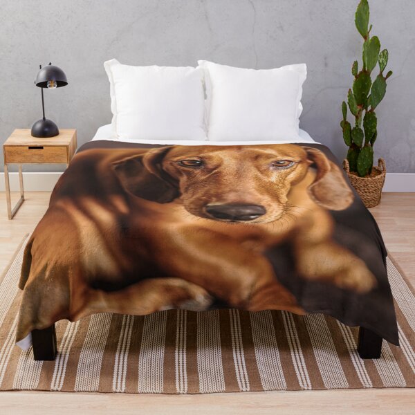 Item preview, Dachshund on couch designed and sold by wolfgangrainer.