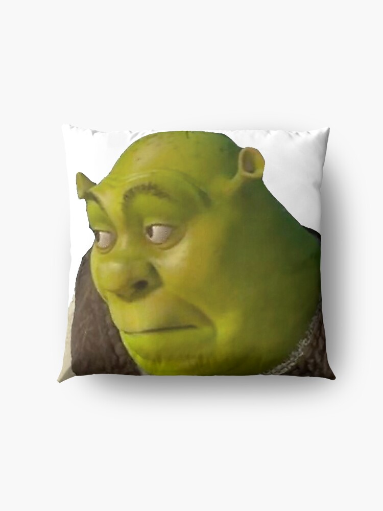 shrek pillow pet for sale