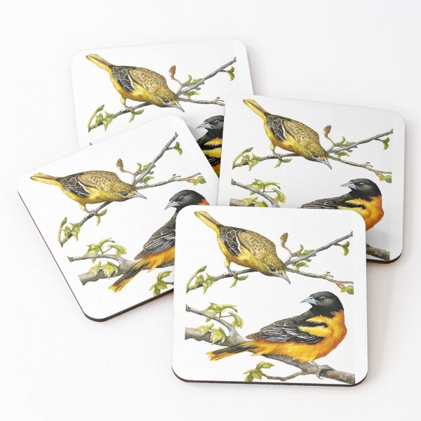 Artikelvorschau, Männlicher u. Weiblicher Orioles Maryland Staats-Vogel entworfen und verkauft von LindaAppleArt.
