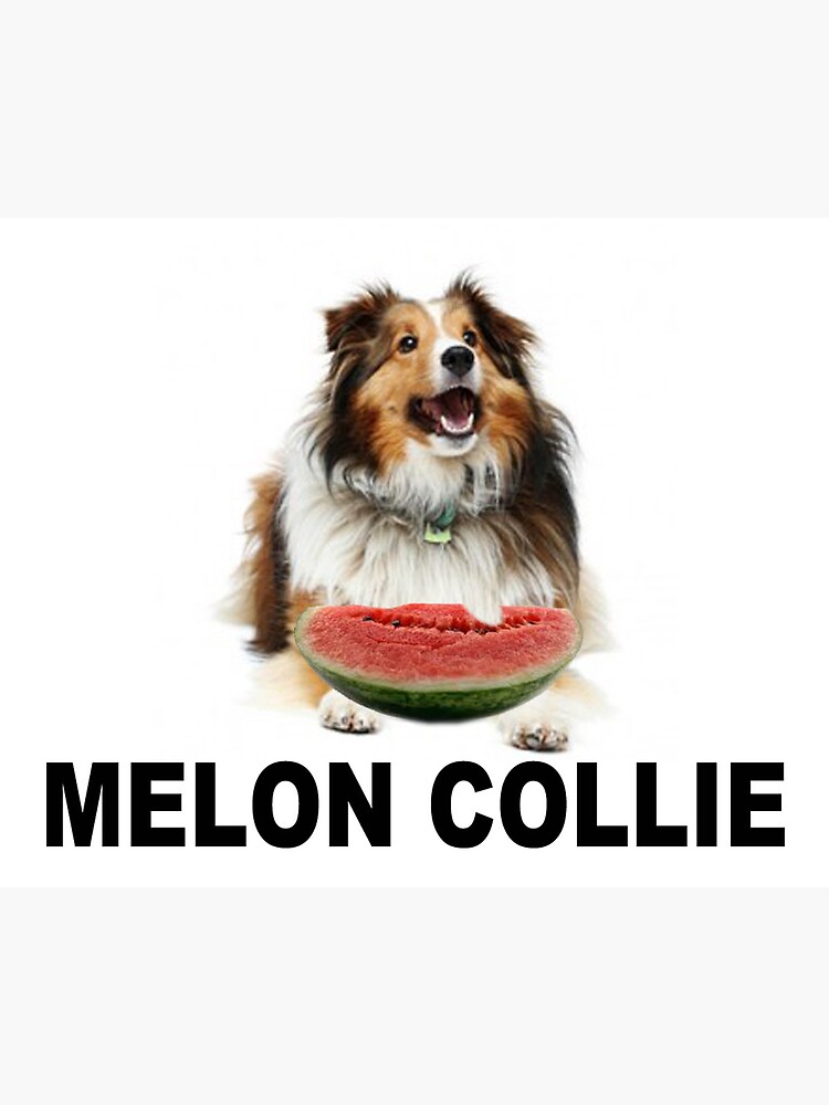"Melon Collie" Canvas Print for Sale by JLHStudios Redbubble