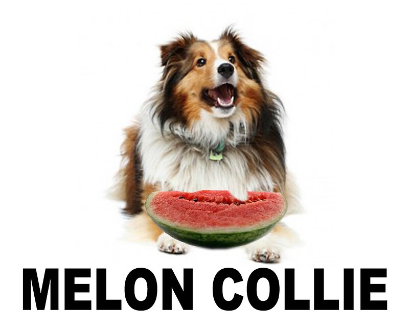"Melon Collie" by ☼Laughing Bones☾ Redbubble