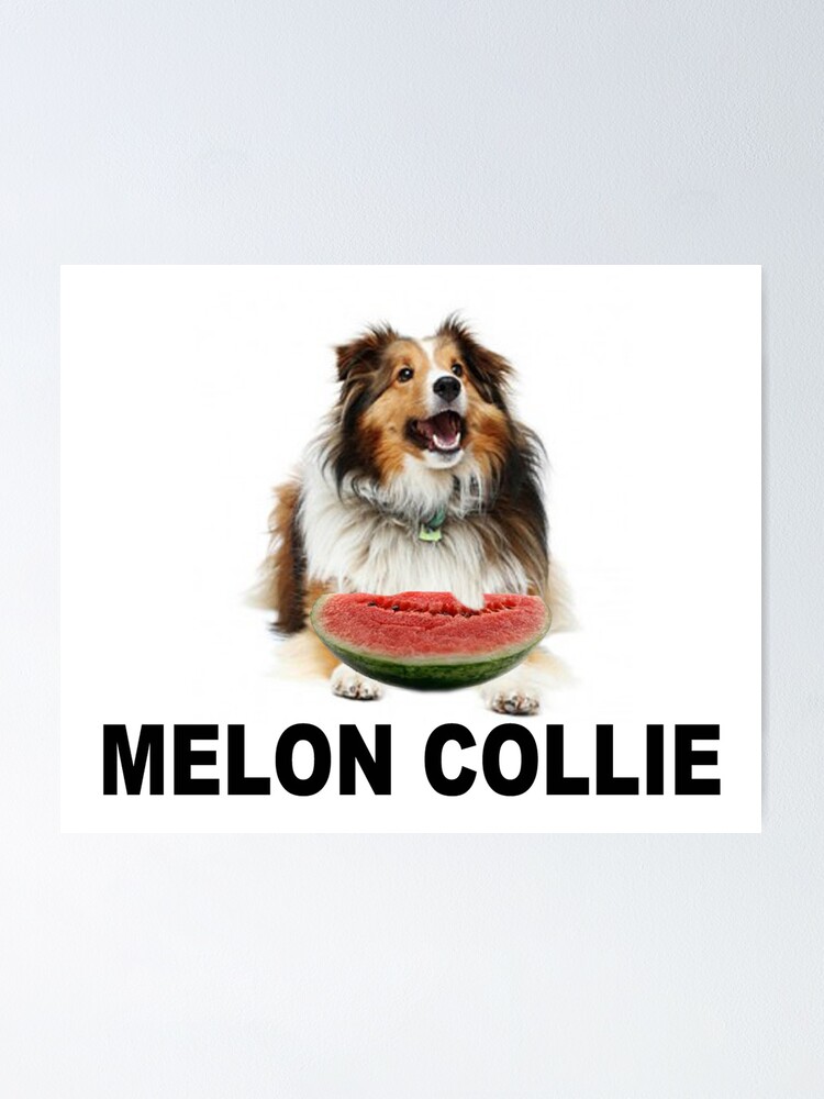 "Melon Collie" Poster by JLHStudios Redbubble