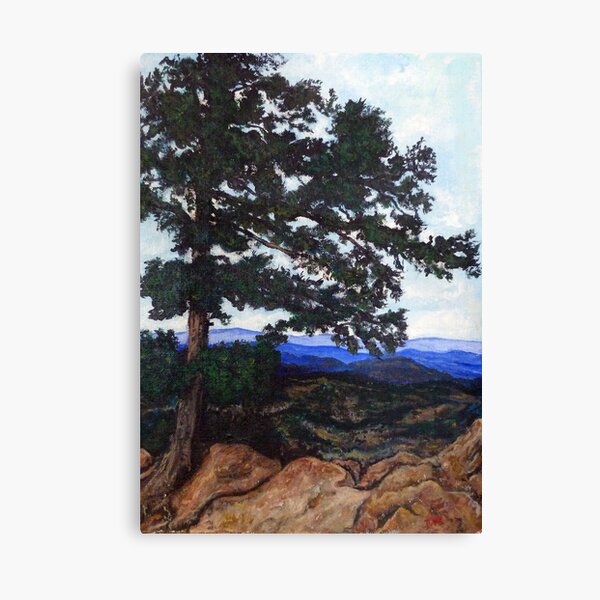 Flagstaff Mountain Tree Canvas Print