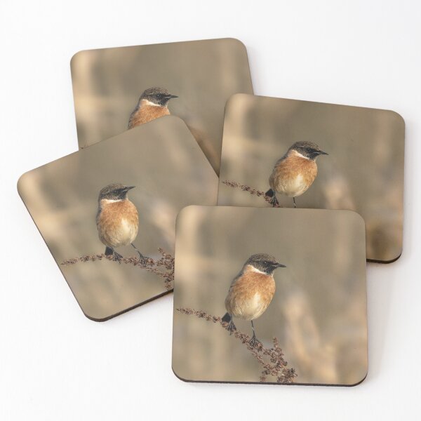 Item preview, Stonechat designed and sold by rawshutterbug.