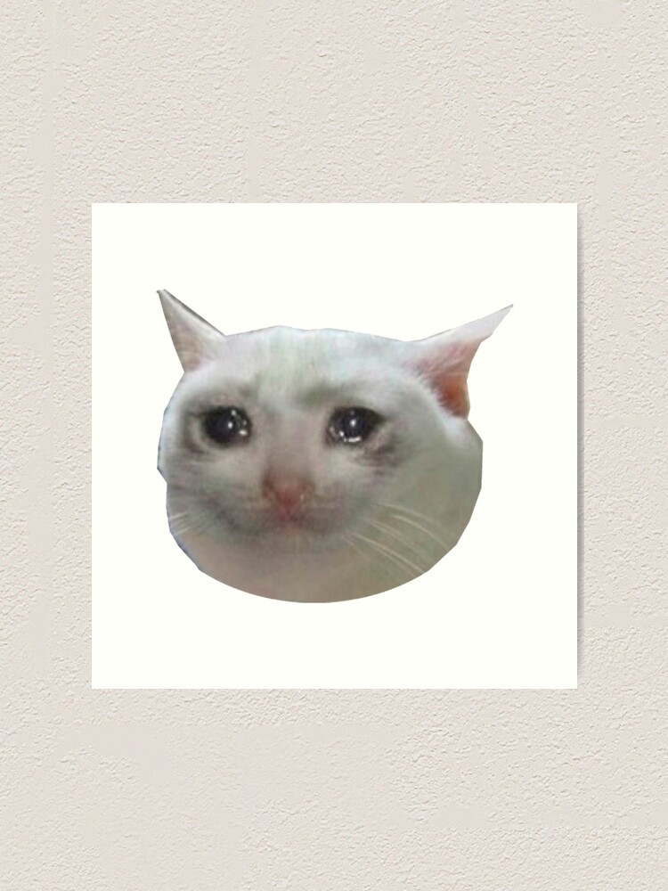 Crying cat meme | Metal Print