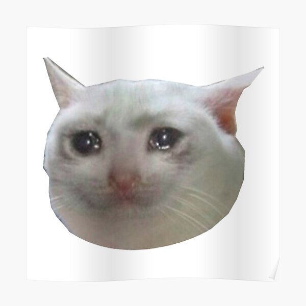 Кошка плачет