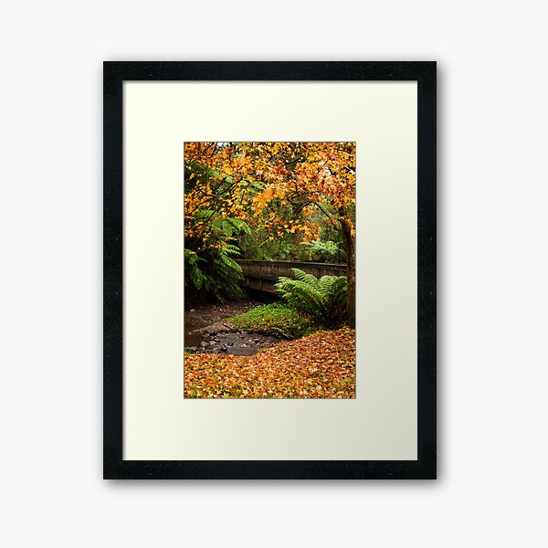 Autumn display Framed Art Print