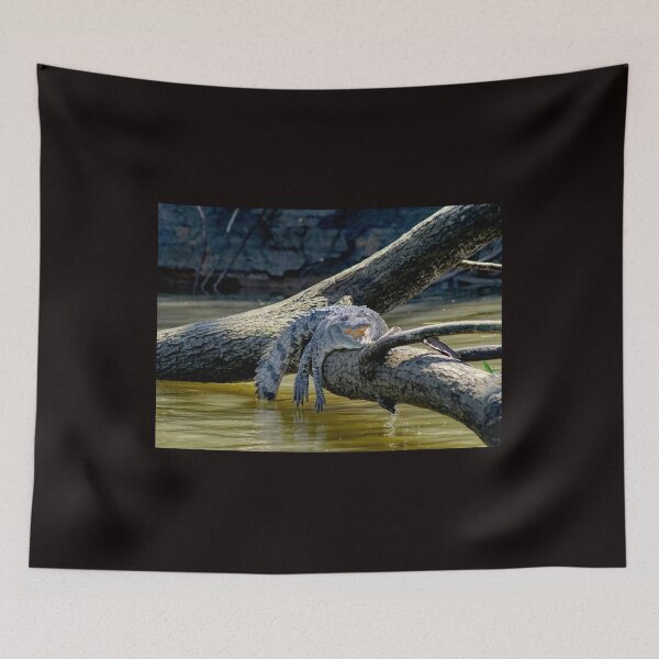 Item preview, Never Smile At A Crocodile designed and sold by Lanis Rossi.