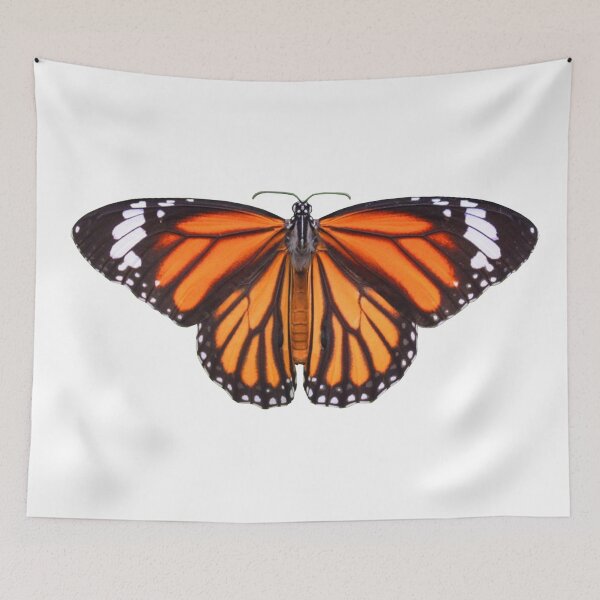 Item preview, Butterfly Design - Common Tiger Butterfly designed and sold by Sweetie Spicy.