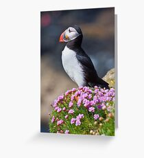 Puffin therapy Greeting Card