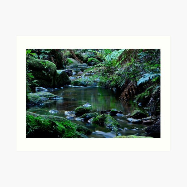 Blackheath Canyon Art Print