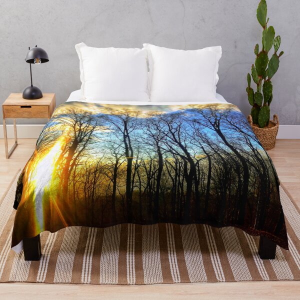 Item preview, Sun Setting On Rock Creek Park, Washington D. C. designed and sold by Mark Jesus-Allen.