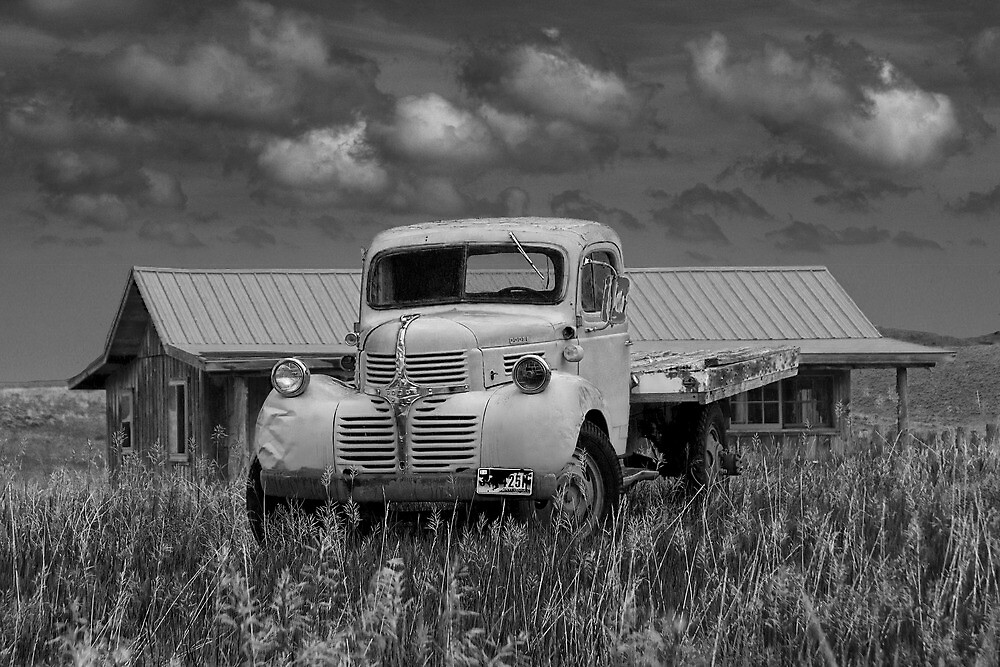 Vintage White Trucks 94