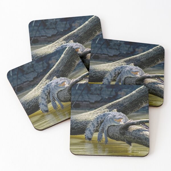 Item preview, Never Smile At A Crocodile designed and sold by Lanis Rossi.