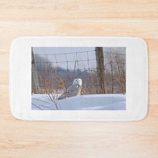 Item preview, Female Snowy owl by a fence designed and sold by James Cumming.