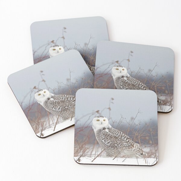 Item preview, Snowy Owl designed and sold by James Cumming.