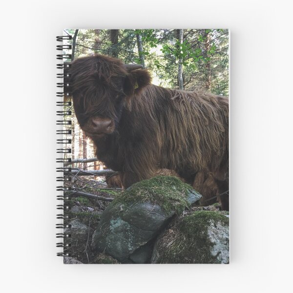 Item preview, Scottish Highland Cattle Calf 1802 designed and sold by SaarelaHighland.