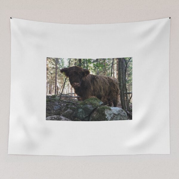 Item preview, Scottish Highland Cattle Calf 1802 designed and sold by SaarelaHighland.