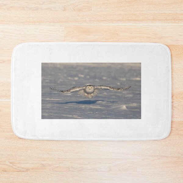 Item preview, Female Snowy owl in flight designed and sold by James Cumming.