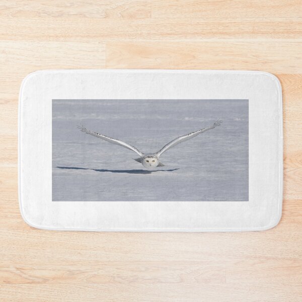 Item preview, Female Snowy owl in flight designed and sold by James Cumming.