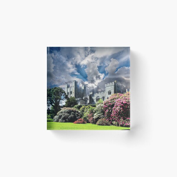 Item preview, Penrhyn Castle Angry Sky designed and sold by robspencer.