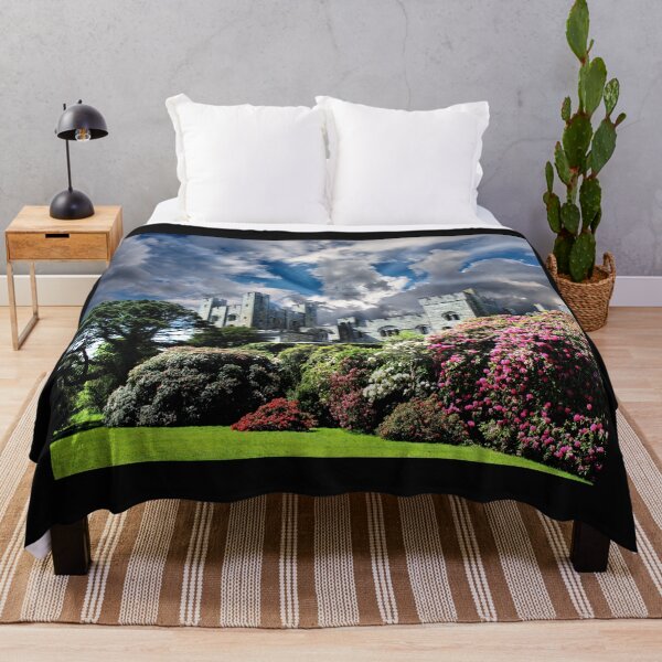 Item preview, Penrhyn Castle Angry Sky designed and sold by robspencer.