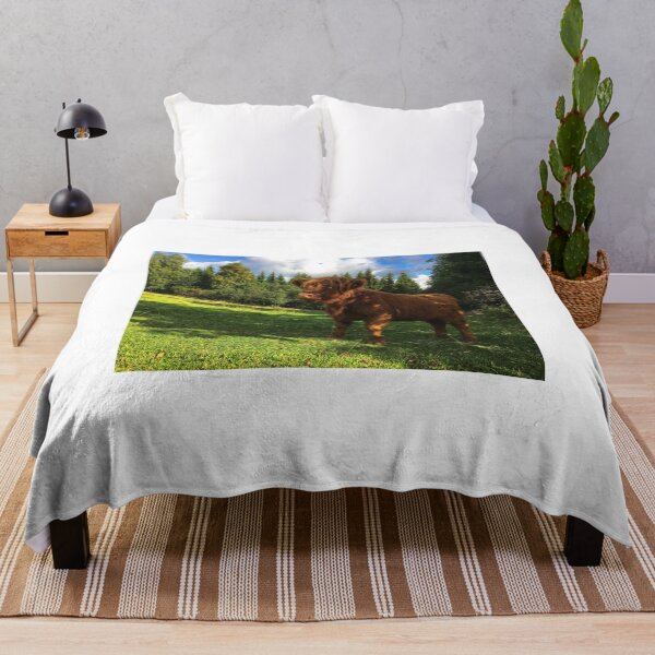 Item preview, Scottish Highland Cattle Calf 1805 designed and sold by SaarelaHighland.
