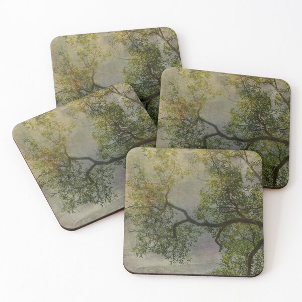Item preview, Skyward Branches designed and sold by KbytesOfJax Outdoor and Nature.