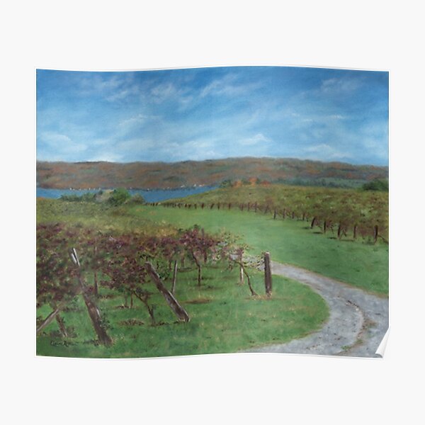 Vineyard Overlooking Lake Poster