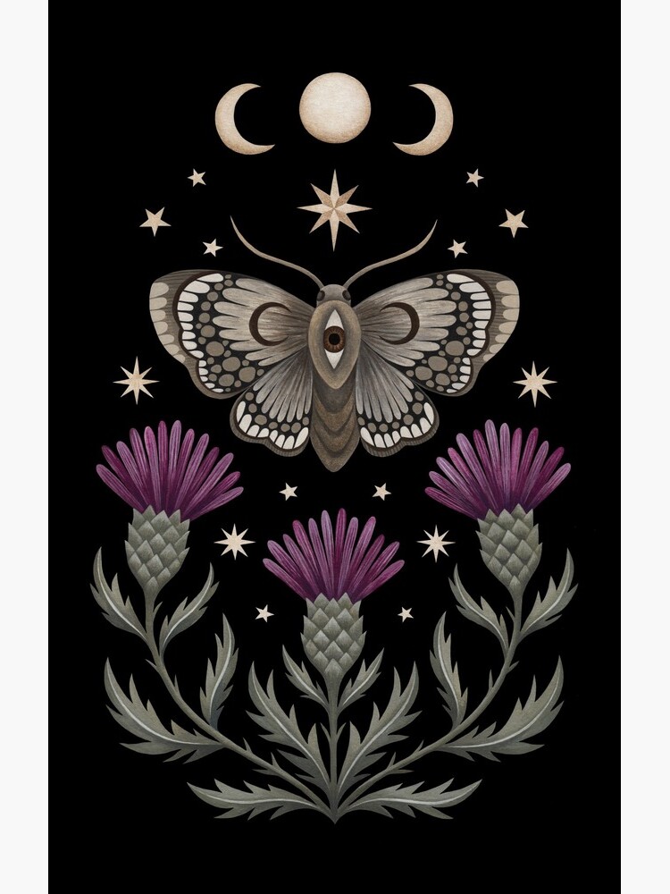 Thistle and moth by Laorel