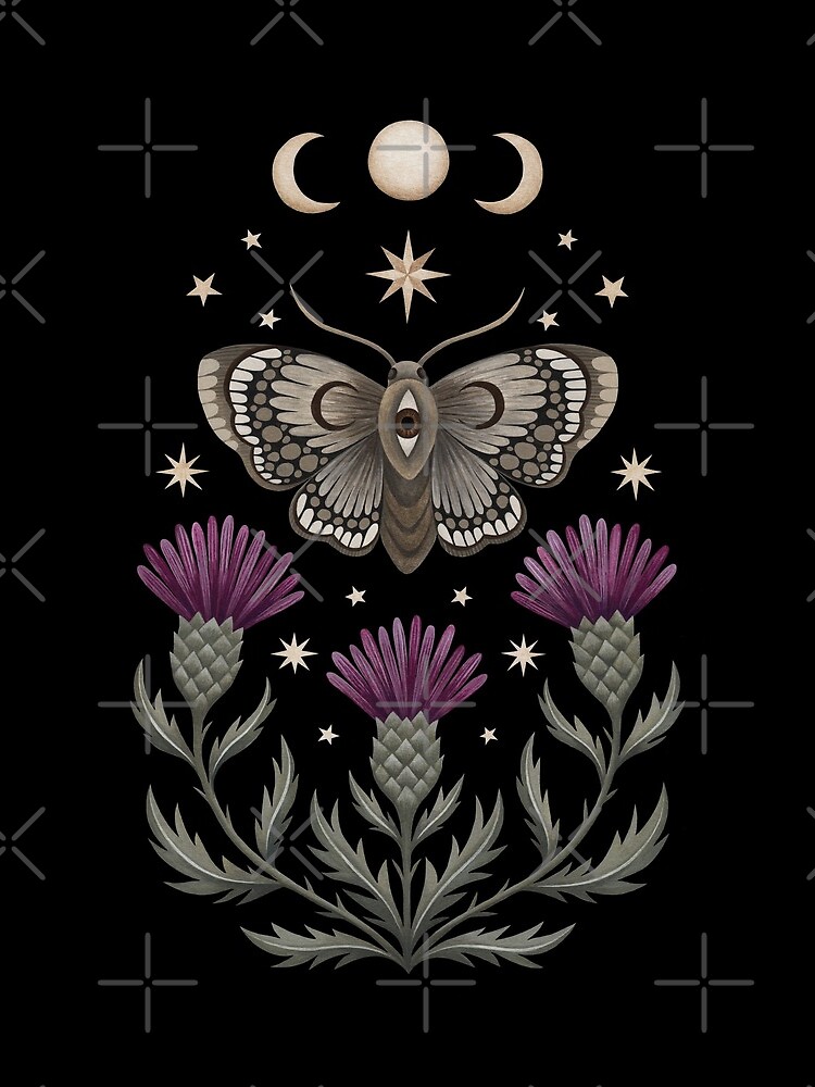 Thistle and moth by Laorel