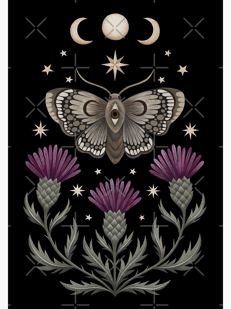 Thistle and moth by Laorel