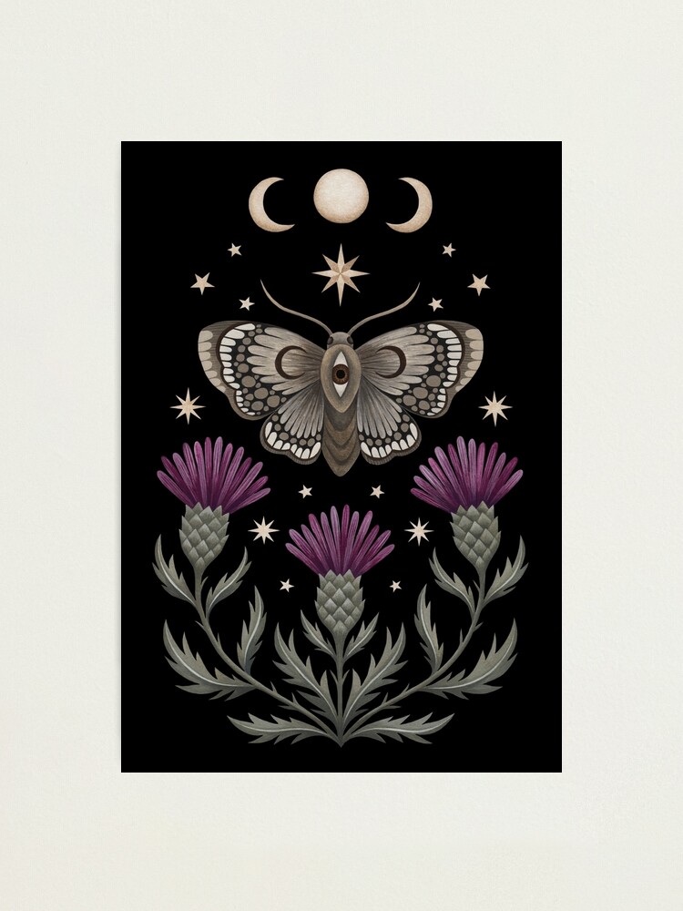 Alternate view of Thistle and moth Photographic Print