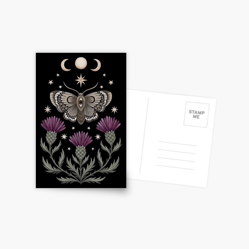Thistle and moth Postcard