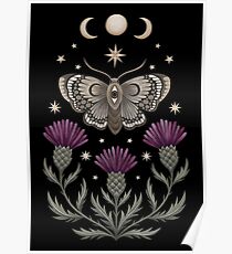 Distel und Motte Poster