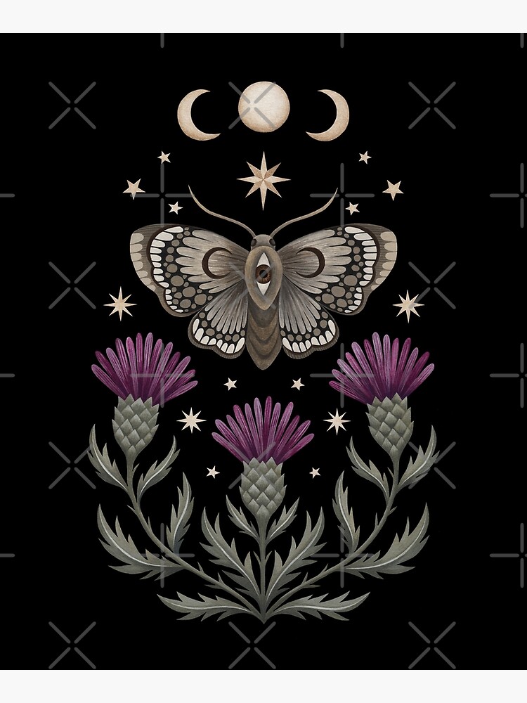 Thistle and moth by Laorel