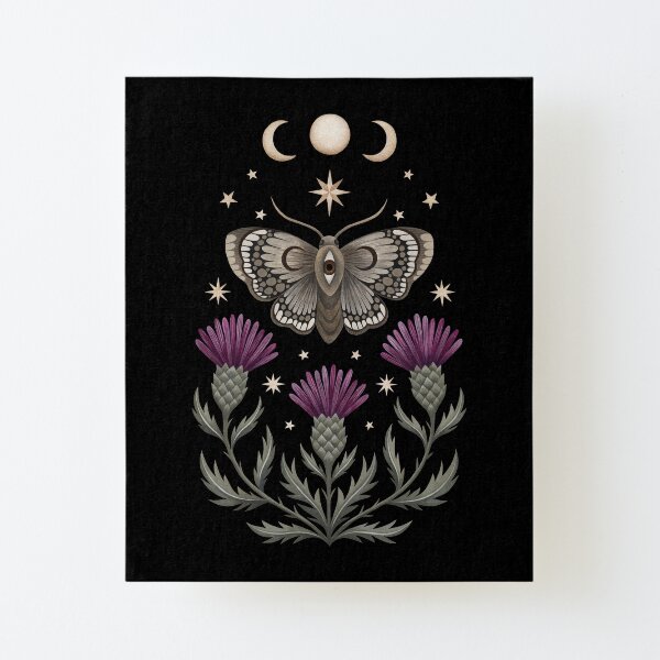 Thistle and moth Canvas Mounted Print