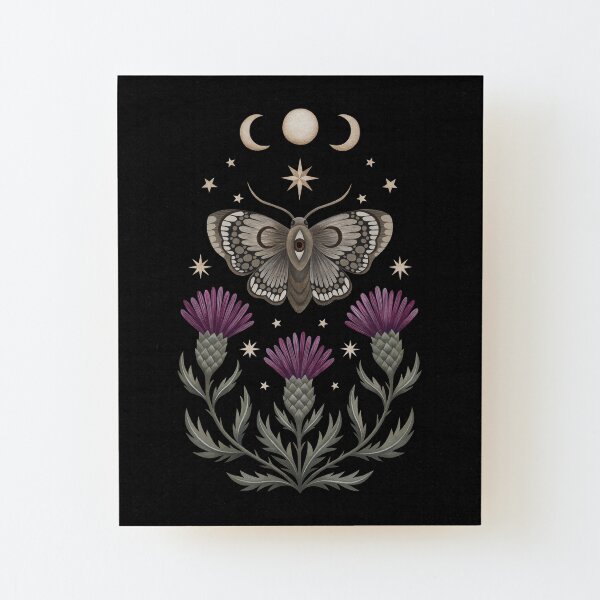 Thistle and moth Wood Mounted Print