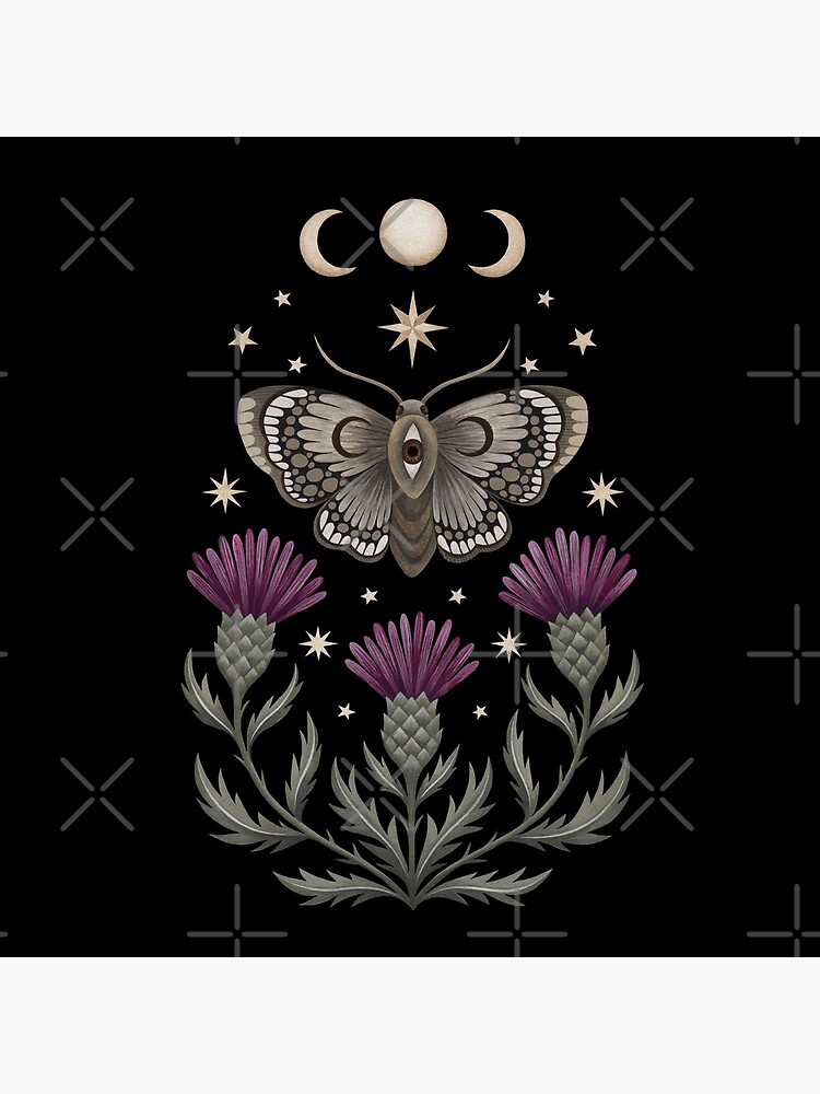 Thistle and moth by Laorel