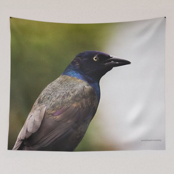 Item preview, Common Grackle designed and sold by Yannik Hay.