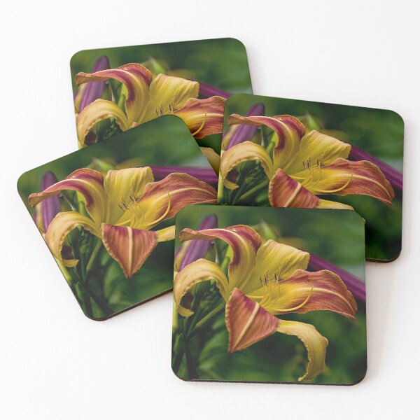 Item preview, "Cobourg Fright Wig" Daylily designed and sold by Michael Cummings.