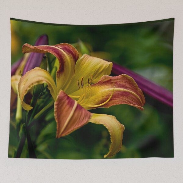 Item preview, "Cobourg Fright Wig" Daylily designed and sold by Michael Cummings.