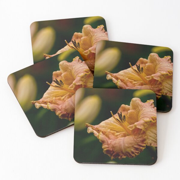 Item preview, "Inherited Wealth" Daylily designed and sold by Michael Cummings.