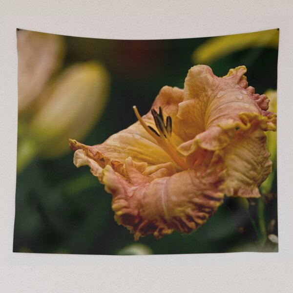 Item preview, "Inherited Wealth" Daylily designed and sold by Michael Cummings.