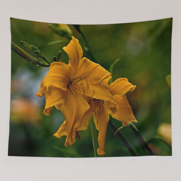 Item preview, "Jersey Spider" Daylily designed and sold by Michael Cummings.