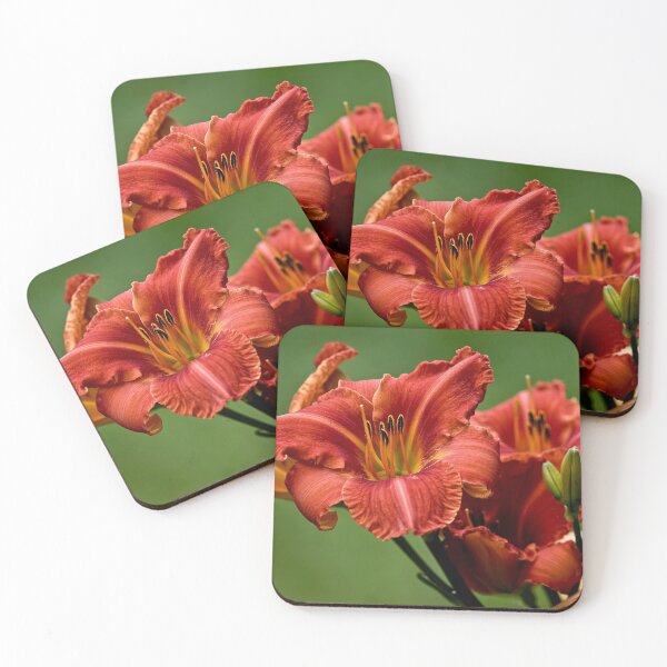 Item preview, "Raging Wildfire" Daylily designed and sold by Michael Cummings.