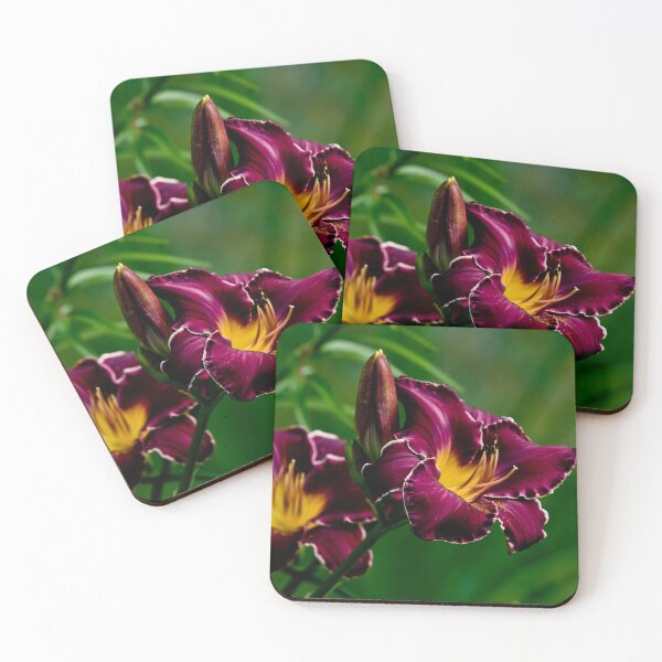 Item preview, "Thundering Ovation" Daylily designed and sold by Michael Cummings.