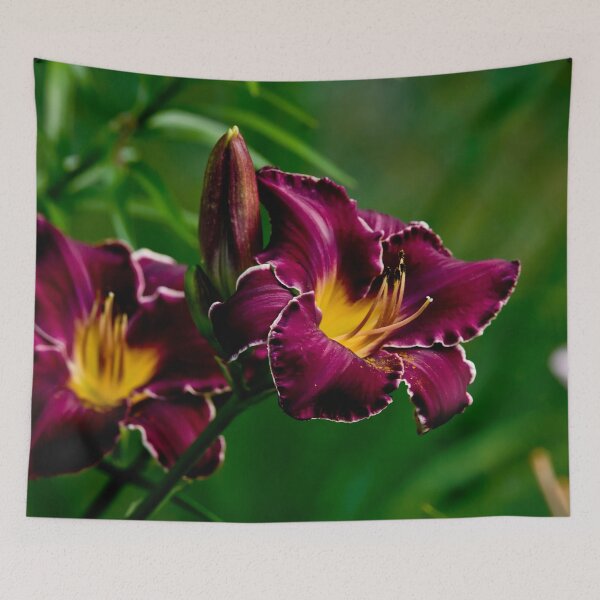 Item preview, "Thundering Ovation" Daylily designed and sold by Michael Cummings.