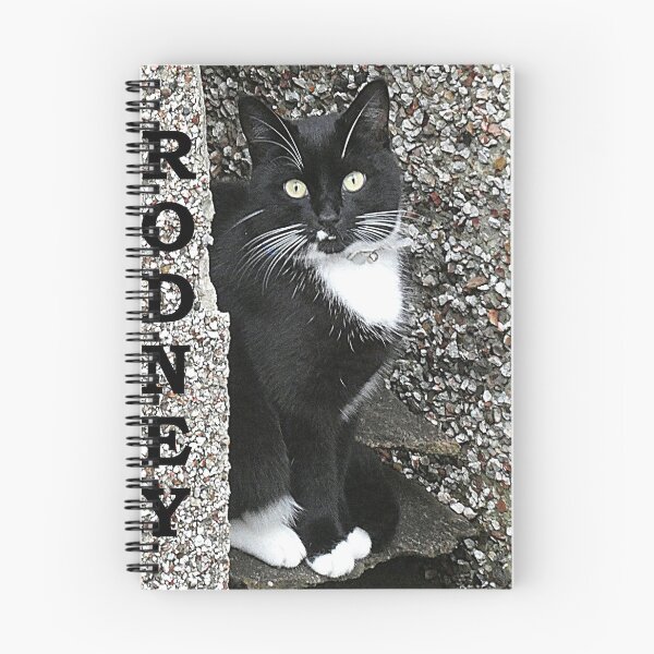 Item preview, RODNEY designed and sold by Lilian Marshall.